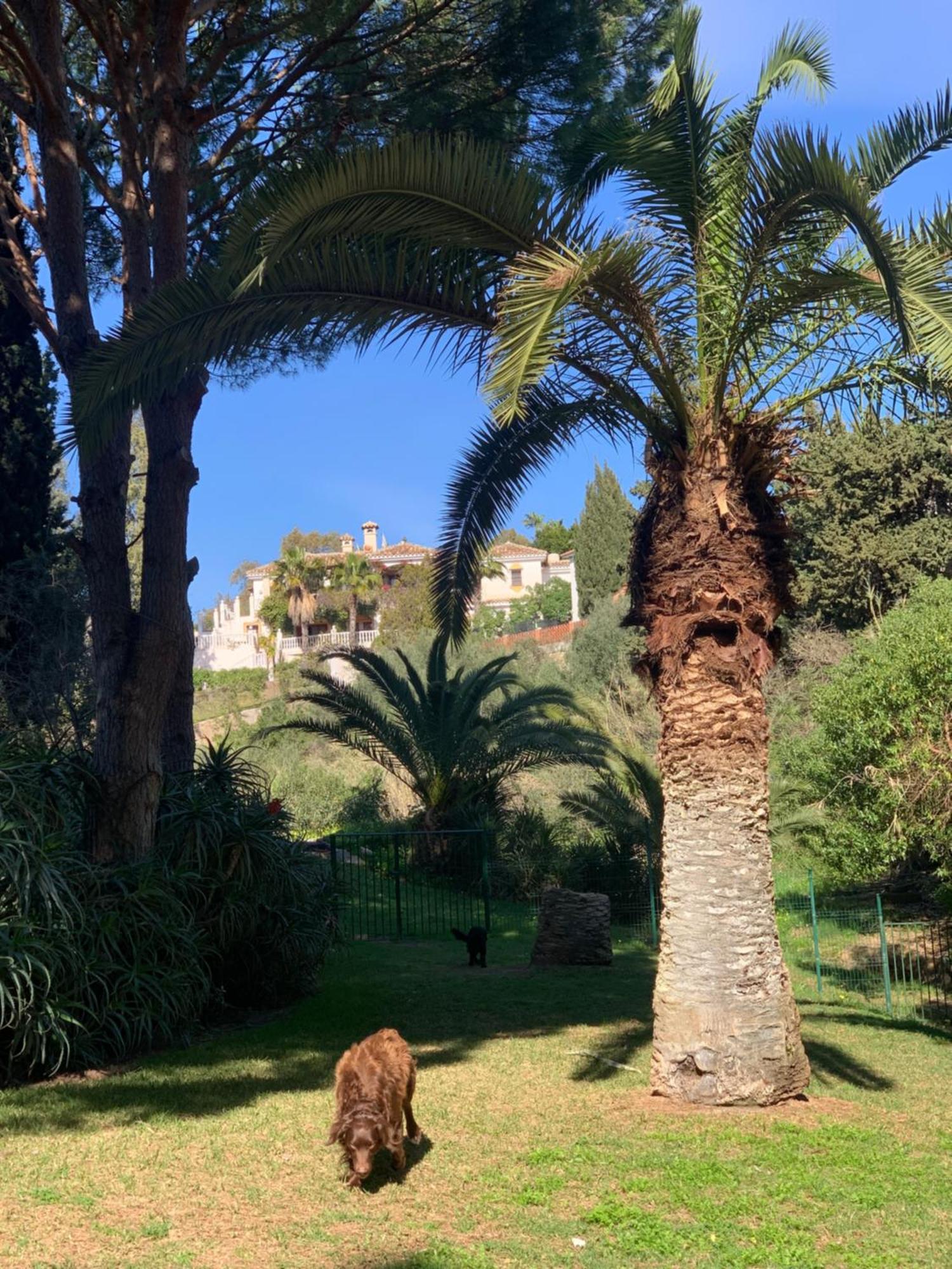 Casa Hermosa Mijas Eksteriør billede