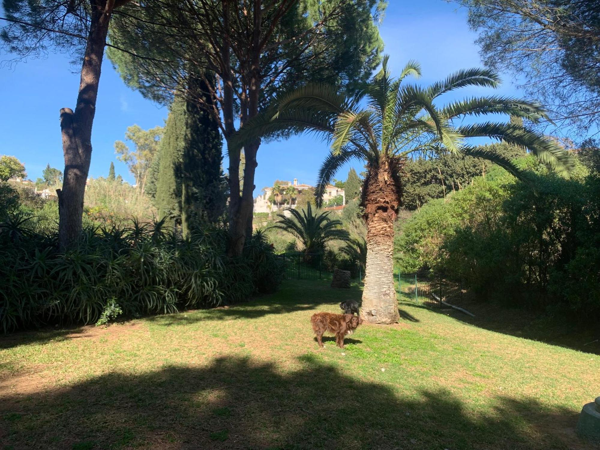 Casa Hermosa Mijas Eksteriør billede