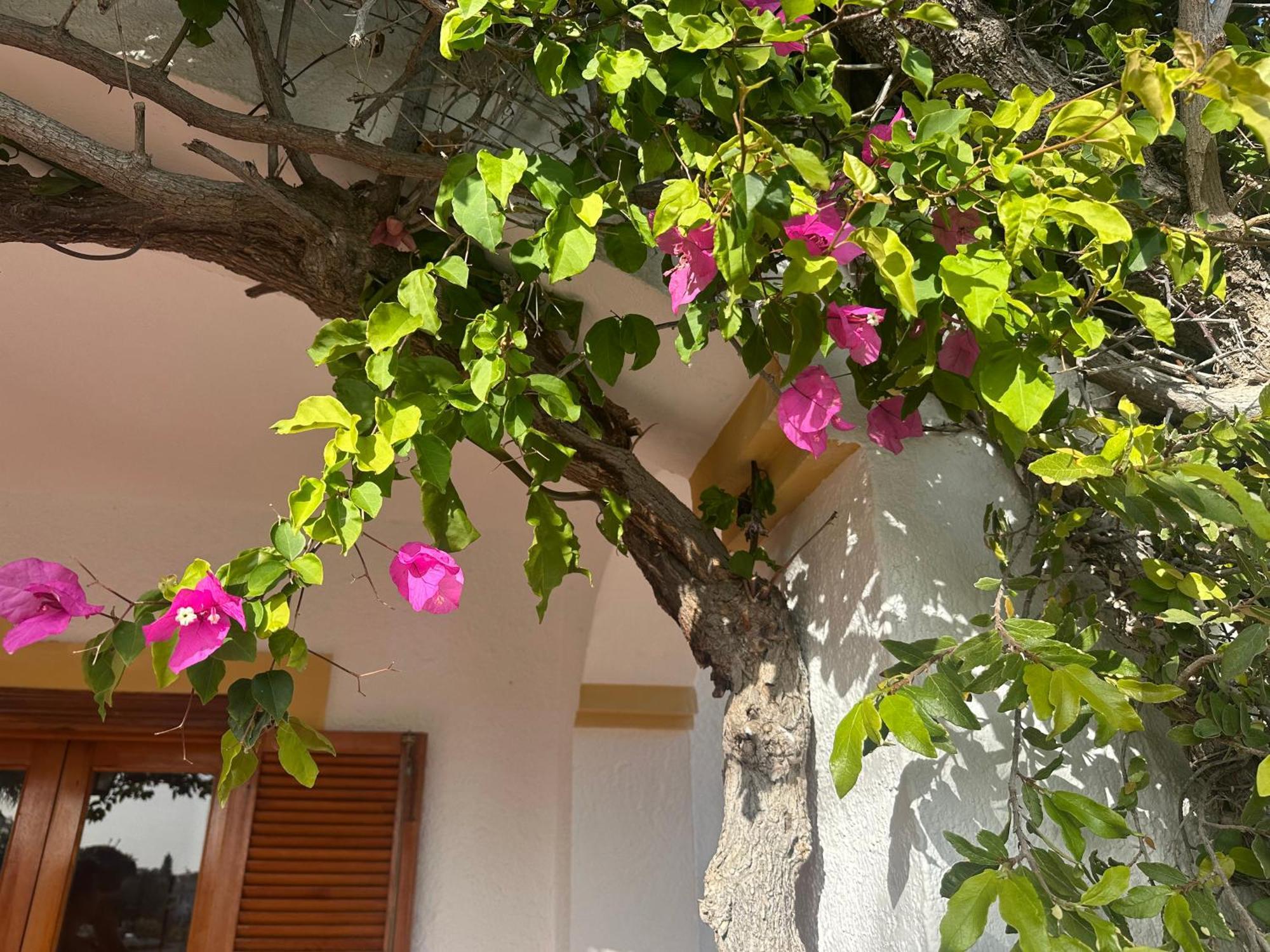 Casa Hermosa Mijas Eksteriør billede